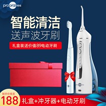 Boho Punching Tooth Instrumental Gift Box Suit Delivery Clean Tooth Slit Oral Calculus Portable Water Dental Floss Send electric toothbrush