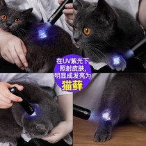 Woods lamp shining cat Moss urine ringworm fungus detection ultraviolet fluorescent agent purple light banknote lamp flashlight Special