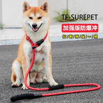 Dog Traction Rope Medium Dog P Chain Walking Dog Rope Large Dog P Rope Explosion Protection for Golden Hair Labrador Dog rope