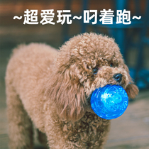 Dog toys alone tedious artifact sound ball Teddy bear rubber ball small dog molar bite-resistant products