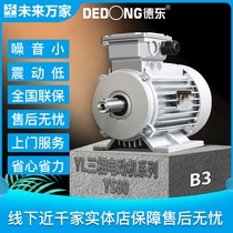 Dedong national standard YS80 series low-power 380v horizontal motor three-phase asynchronous motor B3) Future ten thousand homes