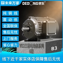 Dedong YE2 national standard horizontal three-phase asynchronous motor 0 75-45KW-6 poles-380V) Ten thousand future homes