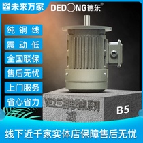 Dedong YE2 national standard vertical three-phase asynchronous motor 0 75-45KW-2 pole-380V) Ten thousand future homes