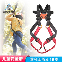 Lipter children's safety belt indoor expansion full body safety belt rock climbing children's safety belt children's outdoor protection