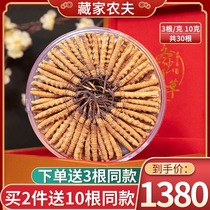 Cordyceps Sinensis 3 Roots Xizang Naqu Cordyceps Dry Goods 10g gift box First stage Cordyceps Sinensis without broken grass