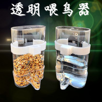Starling Wren Budgerigar Bird with automatic drinking water feeder Water feeder Bird feeder Pigeon bird supplies Transparent