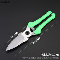 S garlic special scissors garlic scissors garlic scissors garlic shears New