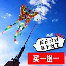 Childrens fishing rod kite Mini fishing rod Small kite Hand-held plastic kite Breeze easy-to-fly butterfly goldfish