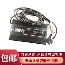 Forklift Charger 12V15A 18A 20A semi-electric lift truck stacker Noli Charger