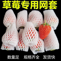 Strawberry Loquat Shockproof Anticollision Protection Foam Mesh Cover Express Protection Bagging Mesh Network Pocket Egg Fruit Mesh Sleeve