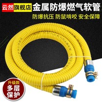 Household gas pipe gas pipe natural gas pipe liquefied gas pipe gas stove pipe water heater connection metal hose