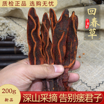 Huichun grass wild not old grass Yunnan traditional Chinese medicine 200g Dingtianxu deep mountain picking stone peach non 500g wine