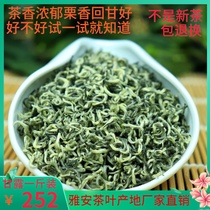 Mengding Ganlu 2021 New Tea Sichuan Special Products Luzhou-flavor Mengdingshan Green Tea Mingxian Tea in bulk 500g
