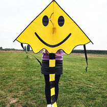 2020 new Weifang kite children cartoon kite smiling face beginner large adult triangle breeze easy fly