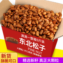 New wild Northeast open pine nuts bulk large particles 500g hand-peeled red pine nuts original nut snacks