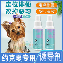 Yokha Special Pee Pooch on Toilet Inducing Agent Fixed Point Defecation Training Location Training Toilet Liquid Guide Deity