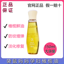 Kangaroo mother pregnant woman olive oil stretch marks postpartum repair desalination removal prevention special pregnant women skin care products