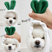 Early Autumn New radish pet sweater Teddy than bear Bomei VIP cat puppies small dog dog clothes