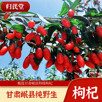 Pure natural super wild red wolfberry 500g non-planted without sulfur and non-washed wolfberry tea male kidney