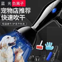 Smart taming special pet hair dryer Cat high-power silent water blower Large and small dog hair blowing artifact