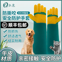Anti-bite gloves anti-dog bite anti-cat scratch training dog training artifact pet anti-scratch scratch hold cat dog training bath