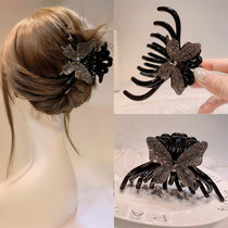 Butterfly grab clip hairclip back of the head large acrylic hair catch hair headgear Korean elegant temperament head hairclip