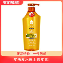 Bee Flower no silicone oil anti-dandruff shampoo anti-itching oil soft improvement frizz ginger shampoo female men