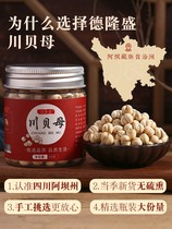 Buy 1 get 1) Sichuan Sichuan Fritillaria 100g Sichuan shellfish powder Chinese herbal medicine non-grain official flagship store