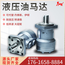Hydraulic motor low speed and high torque positive and negative oil Motor BMR-80 100 200 400 cycloid Motor Assembly