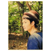 Okada Masayoshi poster A total of 225 models of 13 free-shipping photographic pictures Wall sticker hanging painting a5a03a32