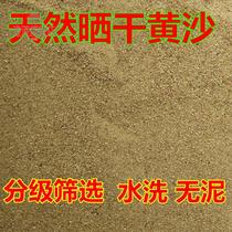 Graded selection of yellow sand natural river sand multi-meat worthy soil sandy fish tank bottom sand turtle hibernating yellow sand bulk
