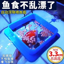 Fish tank feeder fish feeding circle small fish guppies feeding ring floating fish food feeding ring