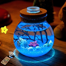 Birthday Gift Girl Girlfriend Girl Girl Wish Bottle Creative Night Lights to Put a Christmas Gift New Year