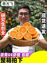 Jiangxi orange gannan navel orange fresh 9 catties should be season 5 fruit whole box sweet large fruit peeled jelly orange 10