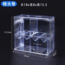 Guppy breeding box fish tank non-acrylic isolation box King-size delivery room incubation spawning small fry young big fish