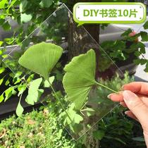 New (handmade) specimen film leaf bookmark plastic sealing film waterproof protection card DIY transparent film Photo plastic seal