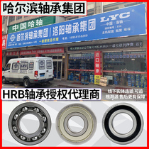 HRB Harbin bearing 6315 6316 6317-ZZ 2RZ high speed deep groove ball original factory