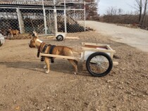 Shopping cart dedicated high-end large artifact folding car dog cart autumn stroller children dog pull outside