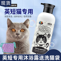English short blue cat shower gel into a baby cat special acaricidal Antibacterial shampoo bath pet cat dog shower liquid supplies