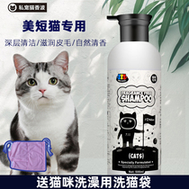 Beauty short tabby special shower gel into cat baby cat acaricidal Antibacterial shampoo bath pet cat shower liquid products