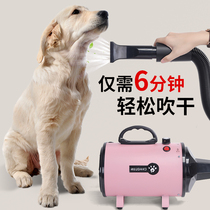 Pet water blower High-power ultra-silent hose Dog hair drying artifact Household large dog golden retriever cat