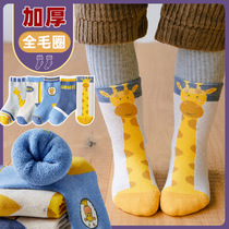 Childrens socks autumn and winter cotton Korean version of ins tide socks thickened wool ring boys and girls baby socks