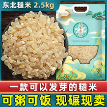 Brown rice new rice 5kg of coarse cereals three-color early rice coarse cereals sprouting early rice Wuchang northeast farm grains