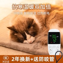 Kitty Electric Blanket Nest Small Thermostatic Heating Pad Dog Warmer Waterproof Warm Mat Pet Electric Blanket Cat