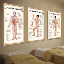 Human meridian points and disease control wall chart Traditional Chinese medicine human meridian points chart full body massage HD poster wall sticker