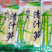 Jiangxi specialty five catties of tender bamboo shoots fresh and now dig wild small bamboo shoots spring bamboo shoots