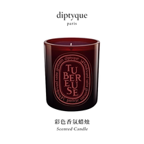 diptyque tiptik color fragrance candle Berry evening Jade charcoal wood fragrance
