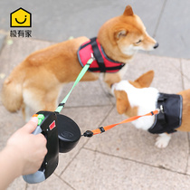 One drag two dogs Traction Rope Automatic Flex Medium Large Dog Two Dogs Walking Dog Rope Kinky Kökki Pet Supplies