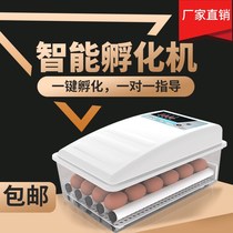 Machine chick incubator for household automatic household type small egg applicator