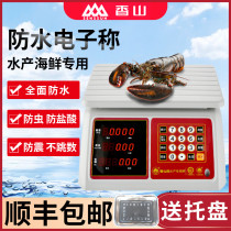 Fragrant mountain card waterproof electronic scale aquatic seafood called commercial 30kg sold fish exclusive small-priced precision stainless steel